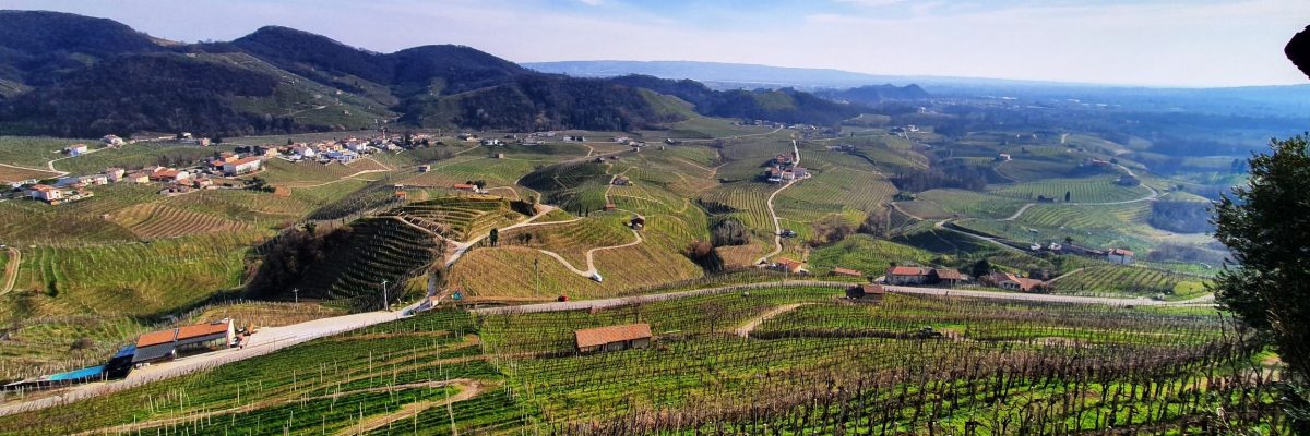 Prosecco_Landscape